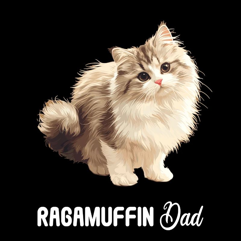 Ragamuffin Kätzchen Ragamuffin Katze