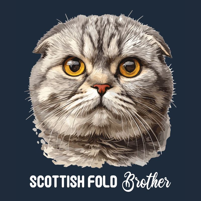 Scottish Fold Kätzchen Scottish Fold Katze