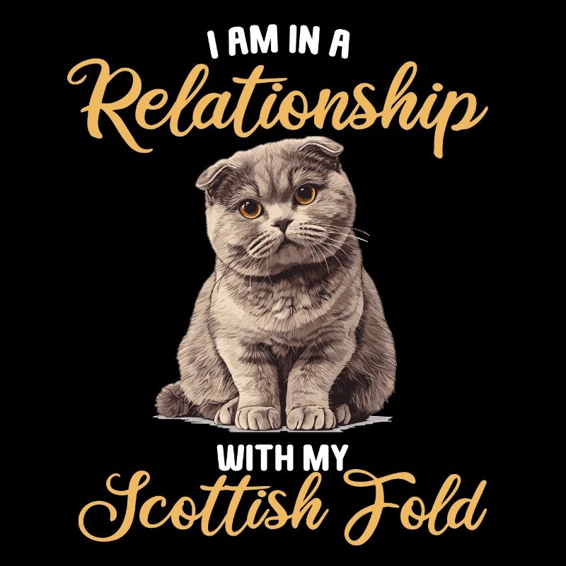 Scottish Fold Kätzchen Scottish Fold Katze