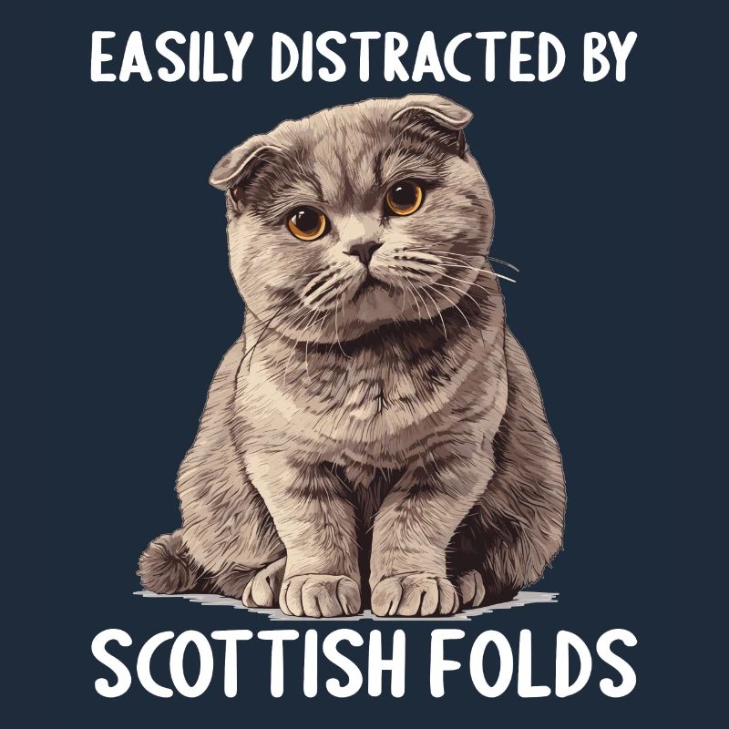 Scottish Fold Kätzchen Scottish Fold Katze