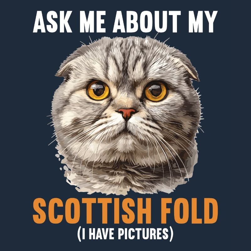 Scottish Fold Kätzchen Scottish Fold Katze