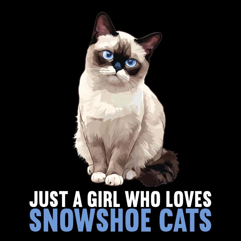 Snowshoe Kitten Snowshoe Cat