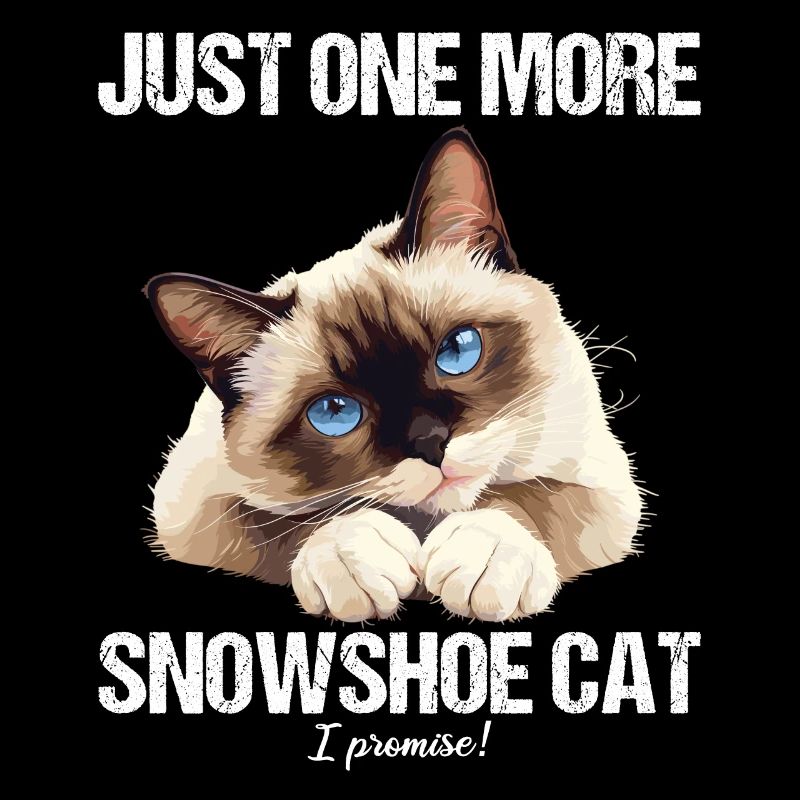 Snowshoe Kitten Snowshoe Cat