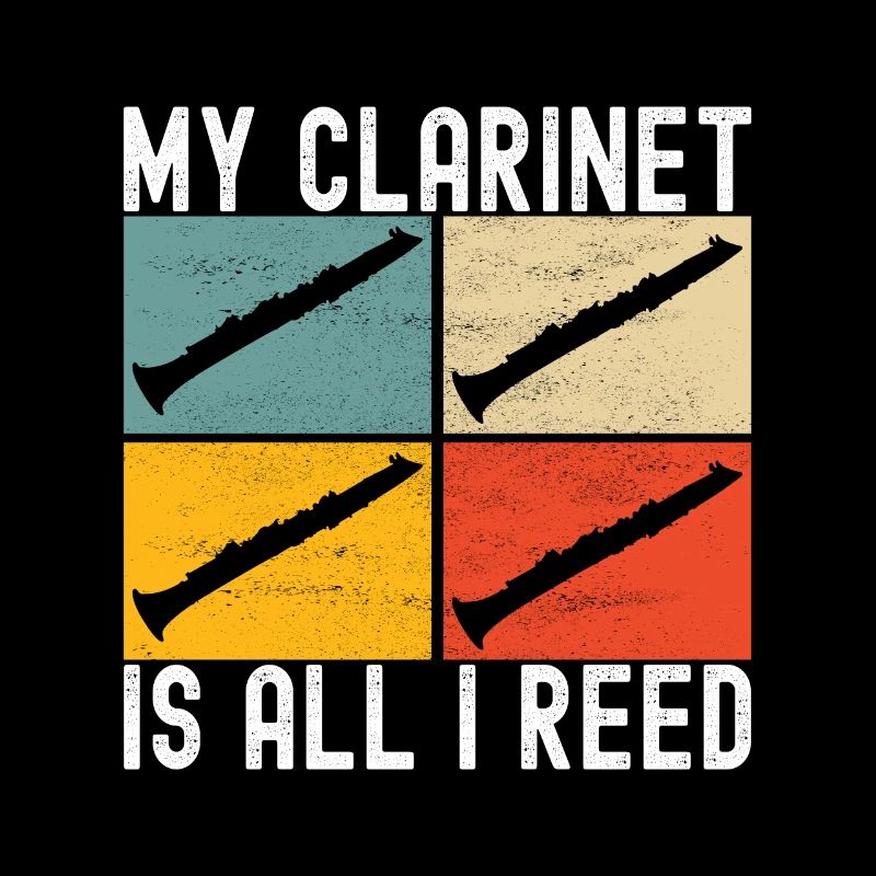Clarinet Wind Instrument Clarinet player