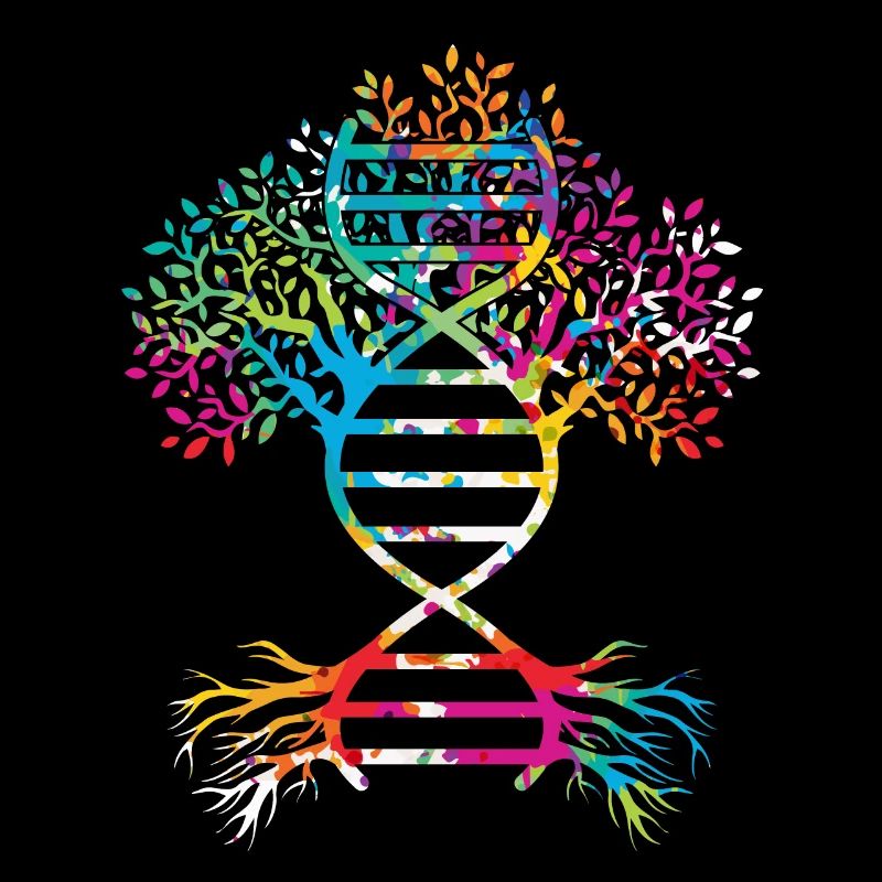 Stammbaum Genealogie