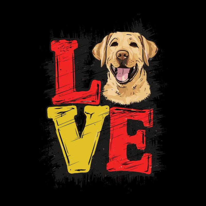 AMOUR Labrador