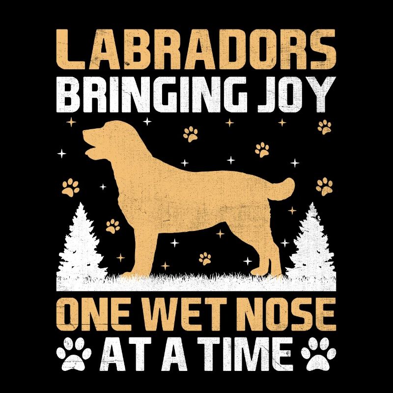 Labradors Bringing Joy One Wet Nose At A Time Labr