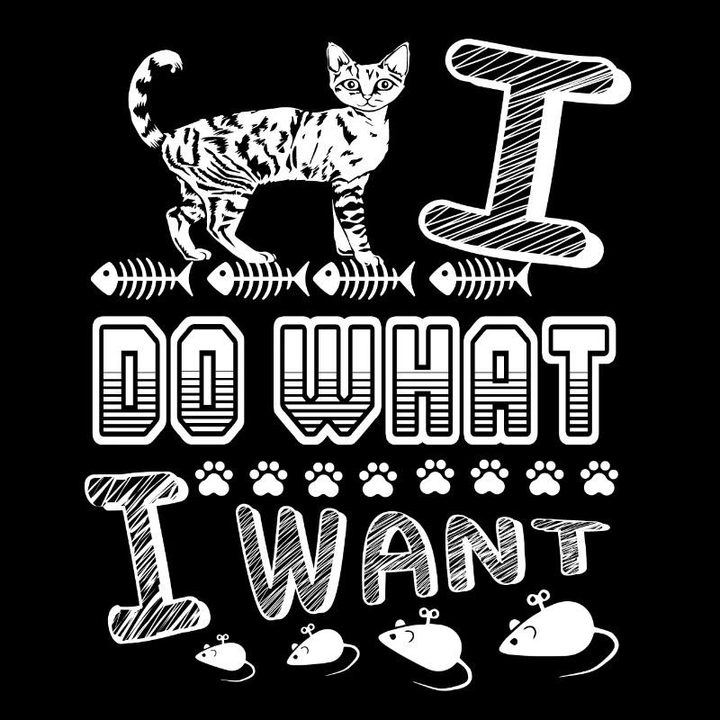 Devon rex Cat Devon rex I Do What I Want