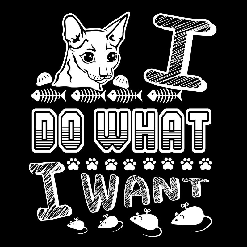 Cornish rex Cat Cornish rex I Do What I Want