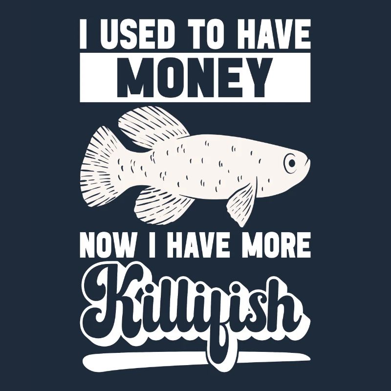 Killifish Quarium Fish