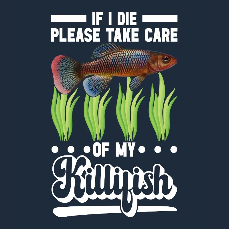 Killifish Quarium Fish