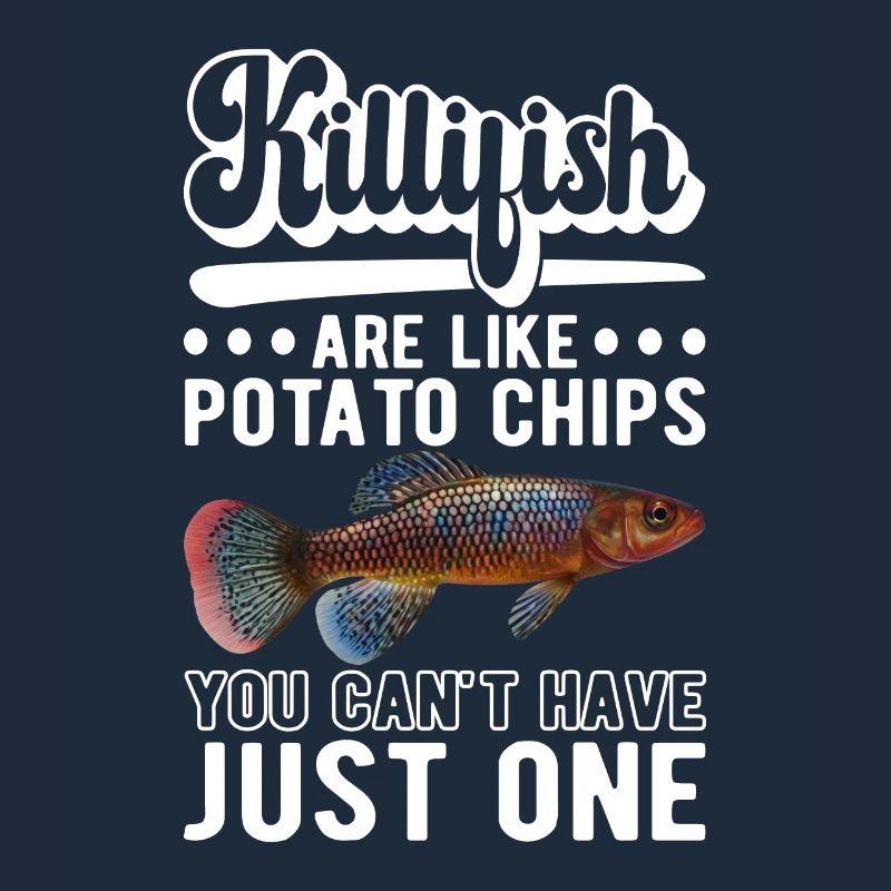 Killifish Quarium Fish