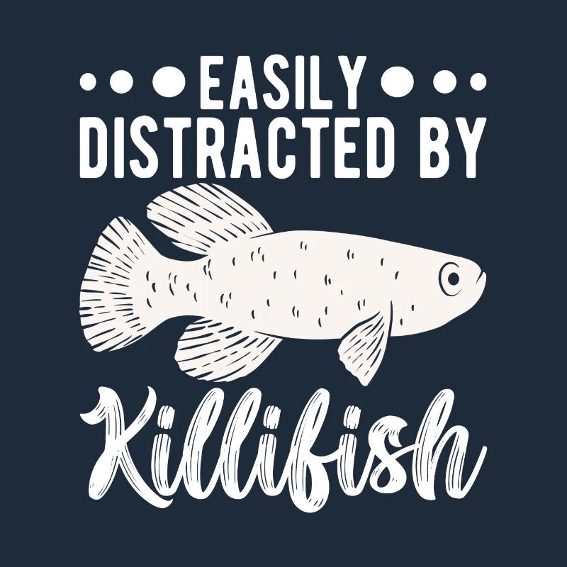 Killifish Quarium Fish
