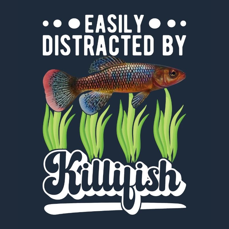 Killifish Quarium Fish