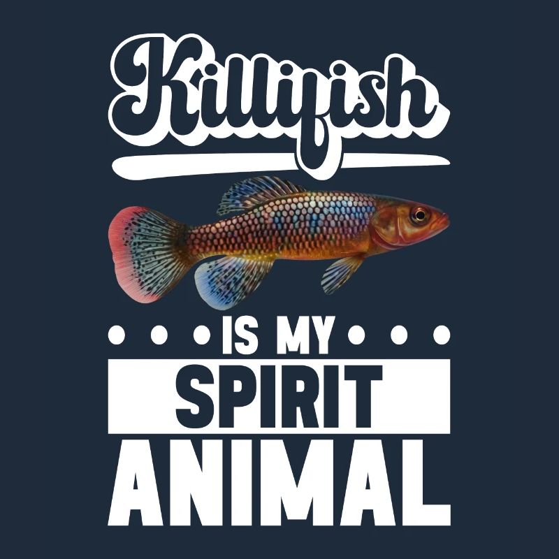 Killifisch Quarium Fische
