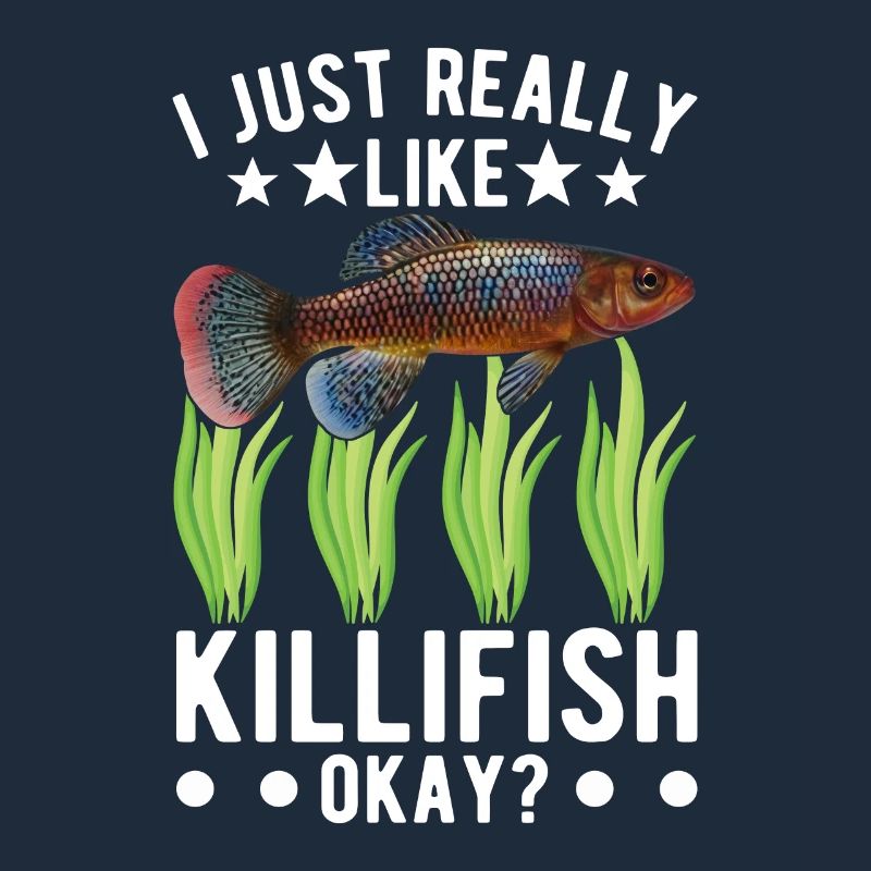Killifish Quarium Fish