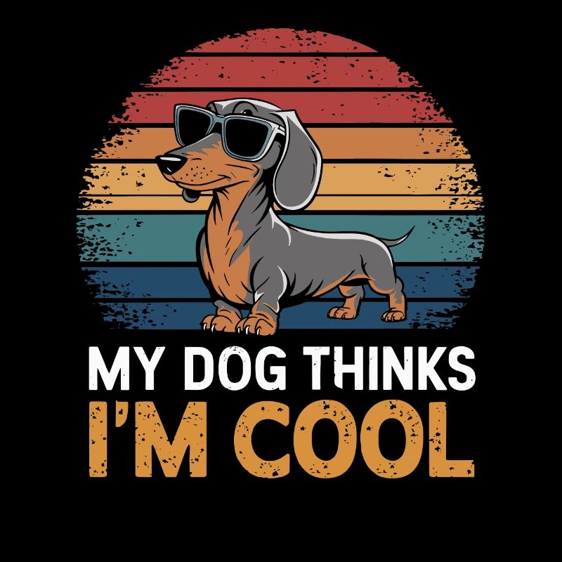 Teckel mon chien pense que je suis cool