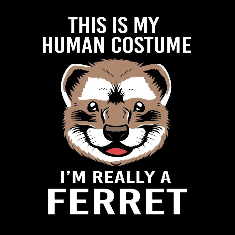 Ferret