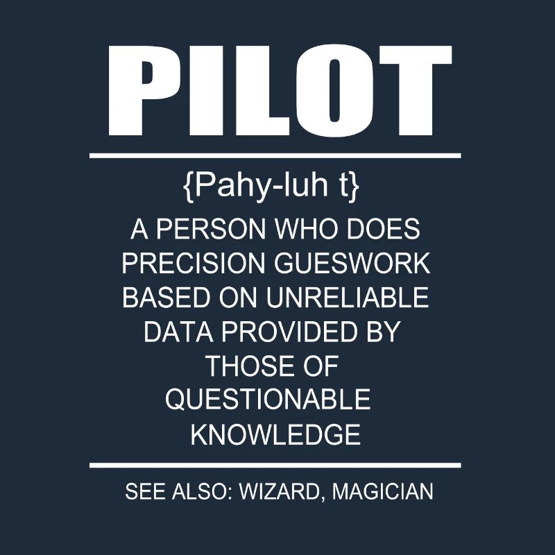 Pilot Flugzeug