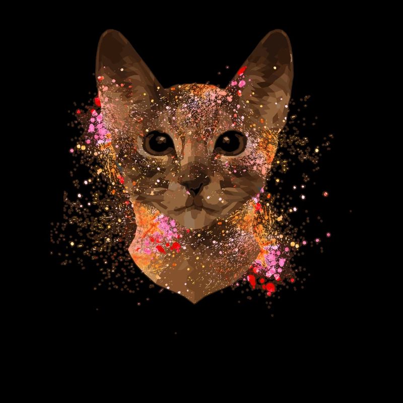 Cute Abyssinian Cat Colorful Face