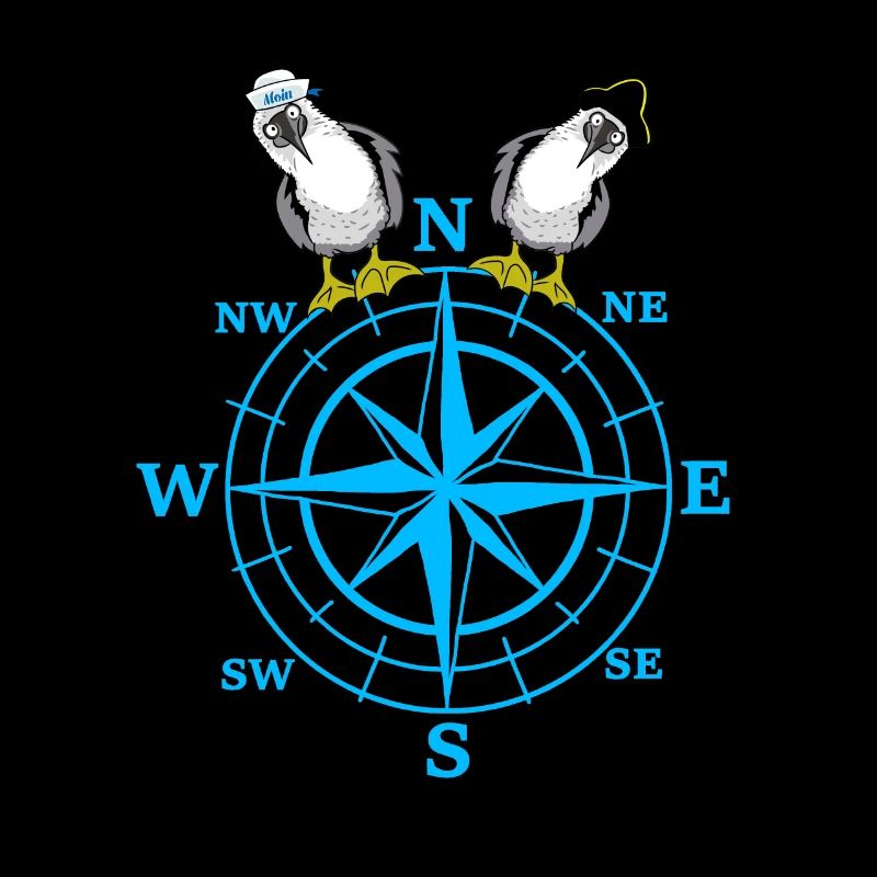 maritim Kompass Möwen Möwe