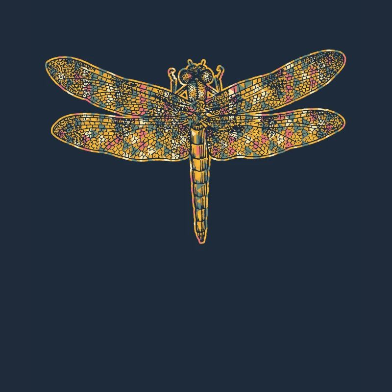 Dragonfly Geometric