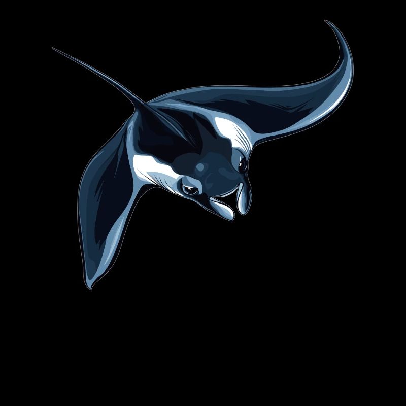 Manta Rays Manta Rays