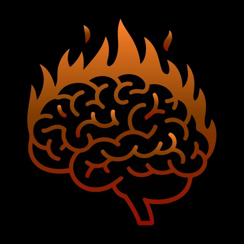 THE BRAIN