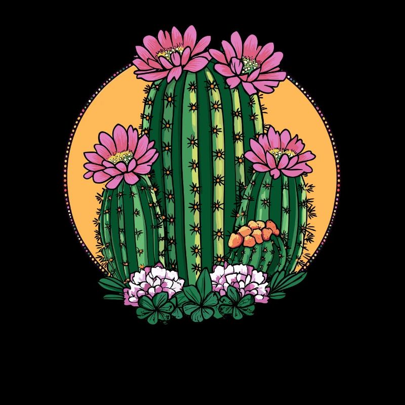 Cactus en fleurs au coucher du soleil