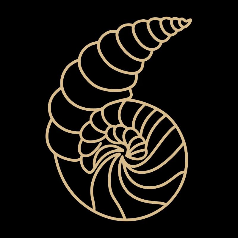 coquillage