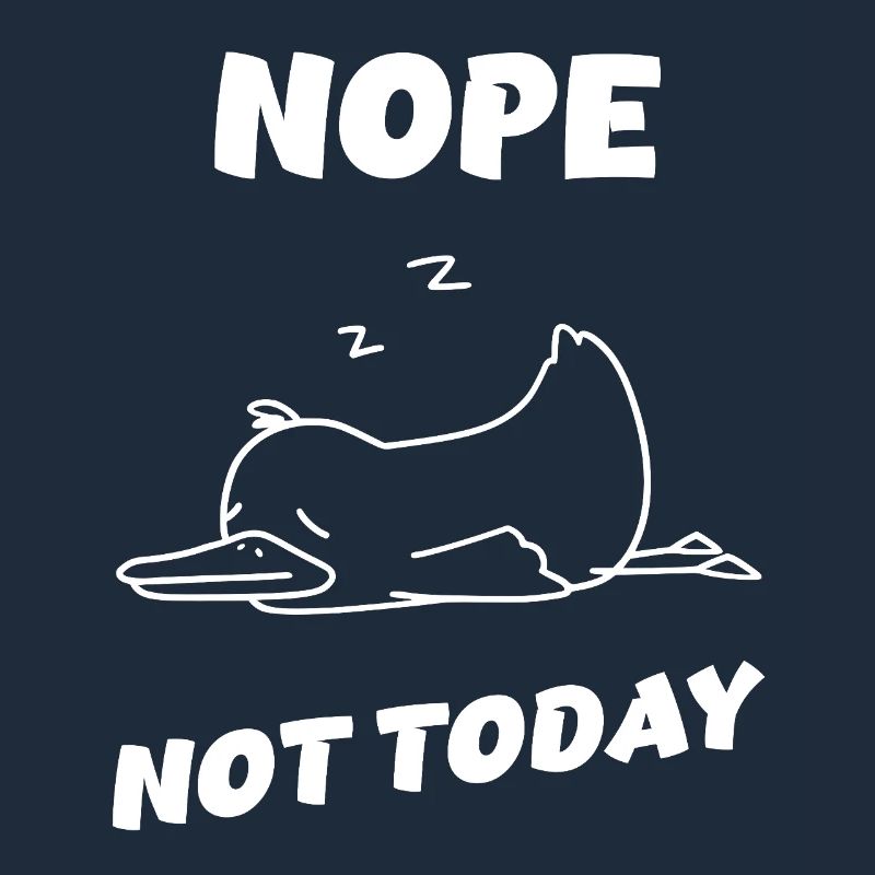 Nope Duck – Heute wird nichts!