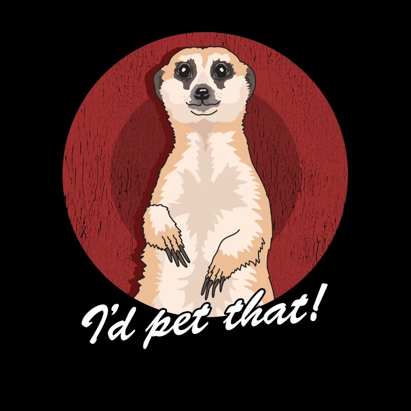 Suricate drôle suricate
