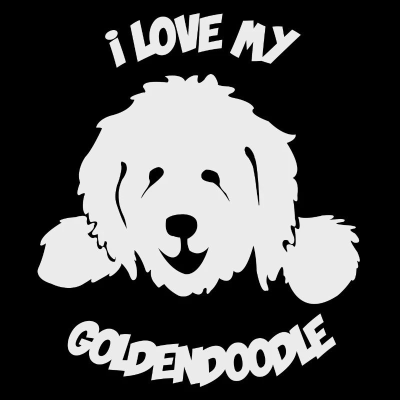 Doodle Goldendoodle Labradoodle Chien