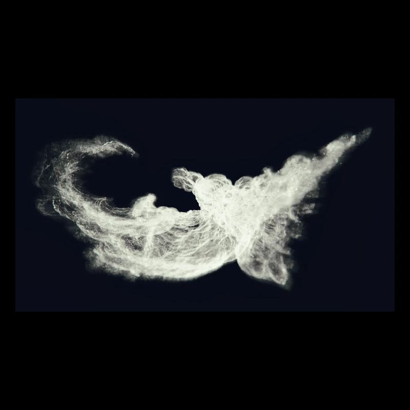 Nocturnal/Lost [Third]