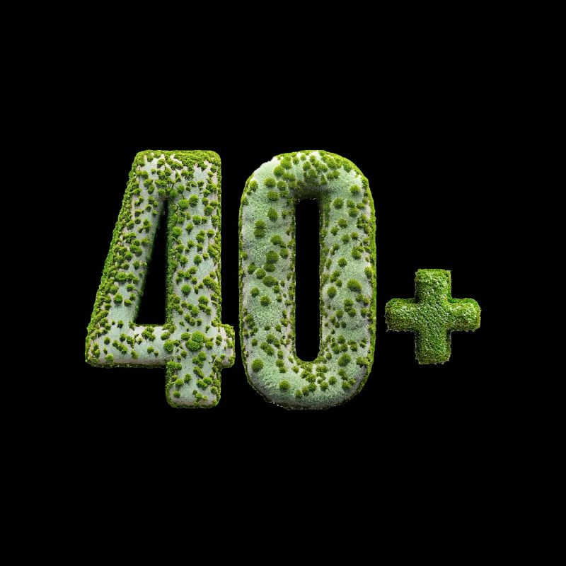 Birthday old 40 + ancient aged funny mossy rock