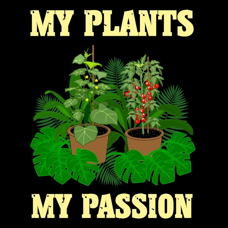 My plants