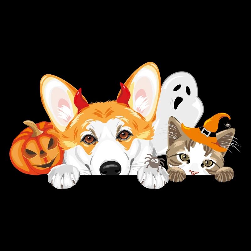 Regard Corgi et chat avec accessoires d’Halloween