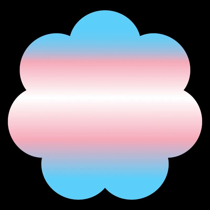 Fierté transgenre subtile