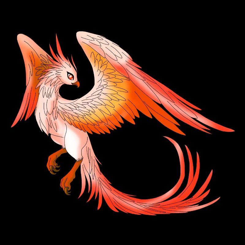 Soleil - feu