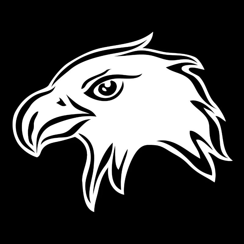 Puissance de l’aigle