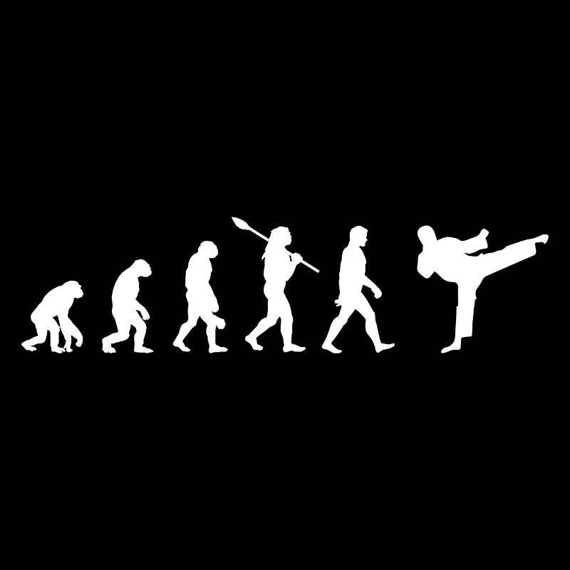 Taekwondo Évolution