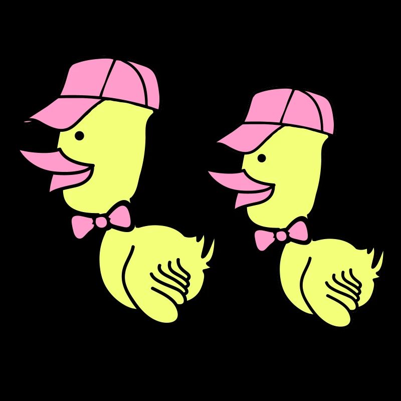 Bonnet de canard