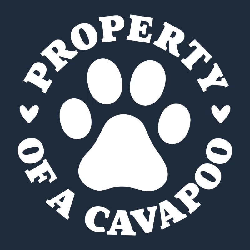 Eigentum eines Cavapoo