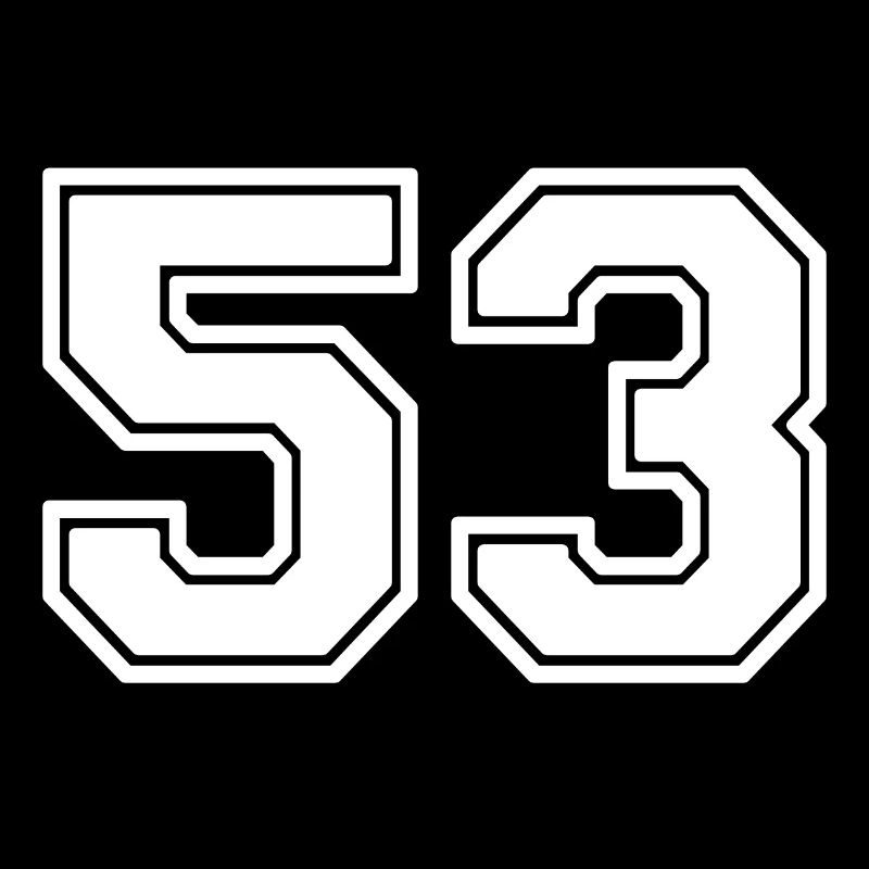 53