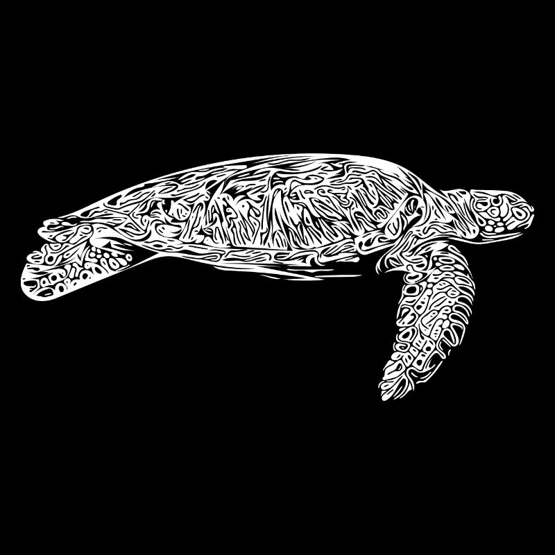 Elegant old water turtle