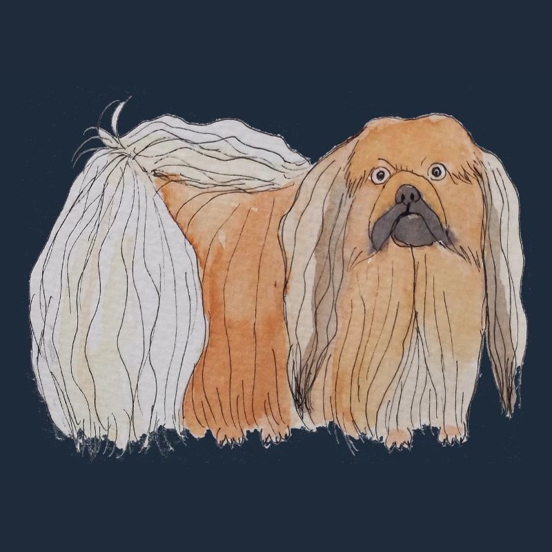 Pekingese - fun