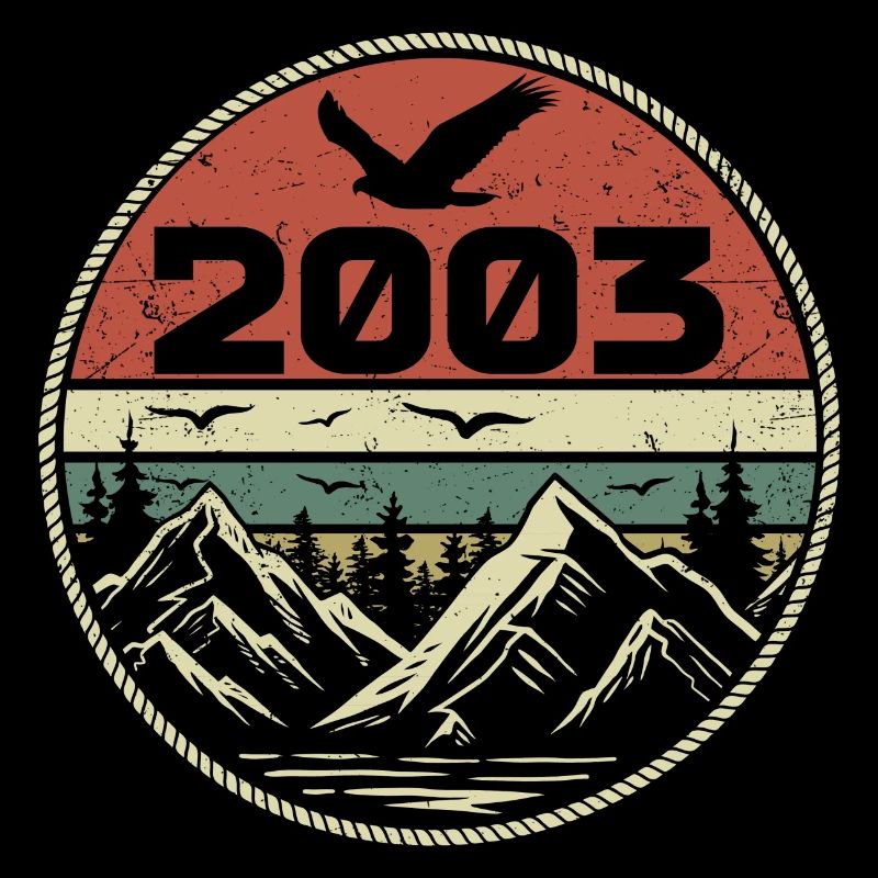Vintage 2003 Classique 2003 rétro 2003 Cadeau 2003
