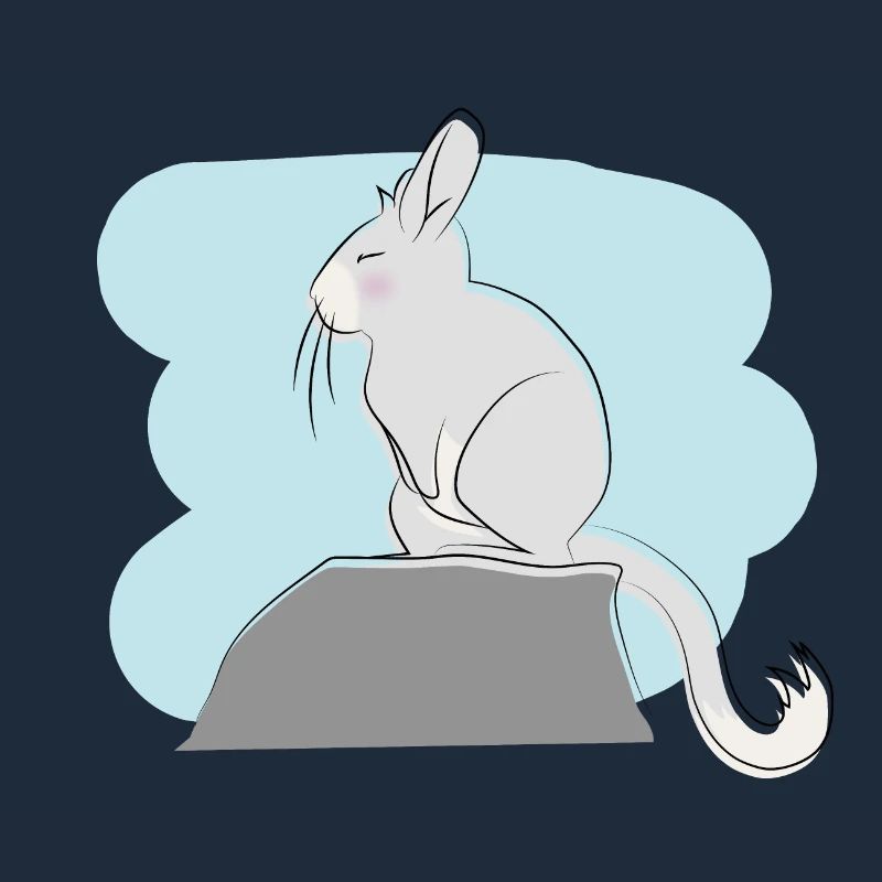 Design illustré avec Viscacha