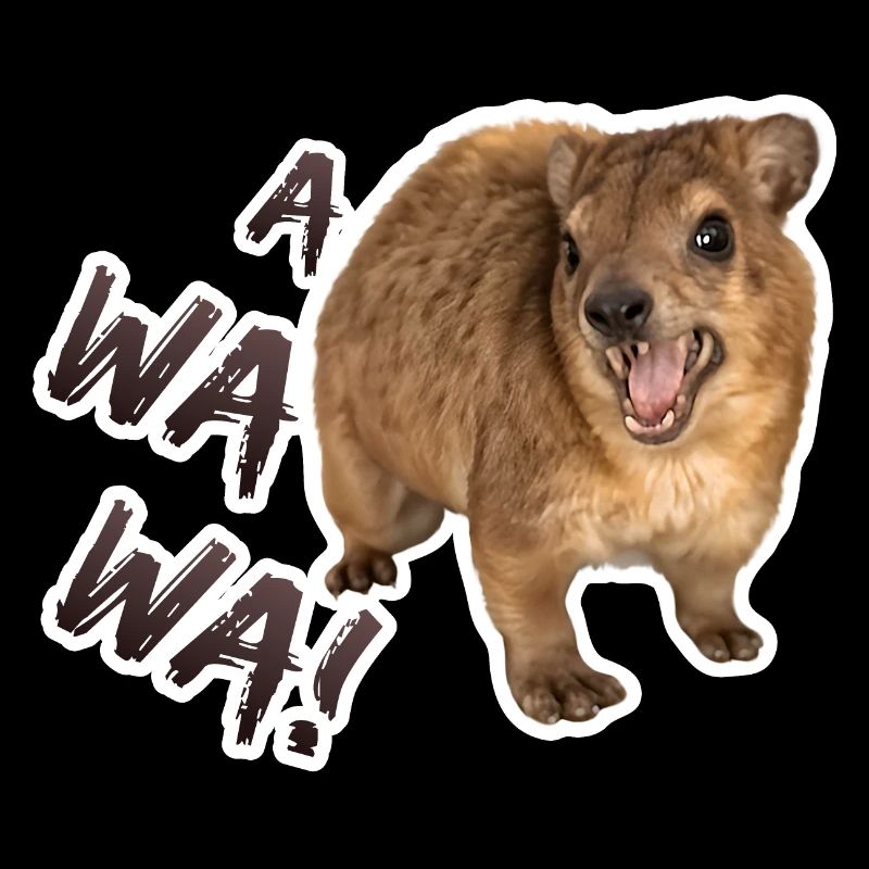 Awawa! Angry Screaming Hyrax Meme