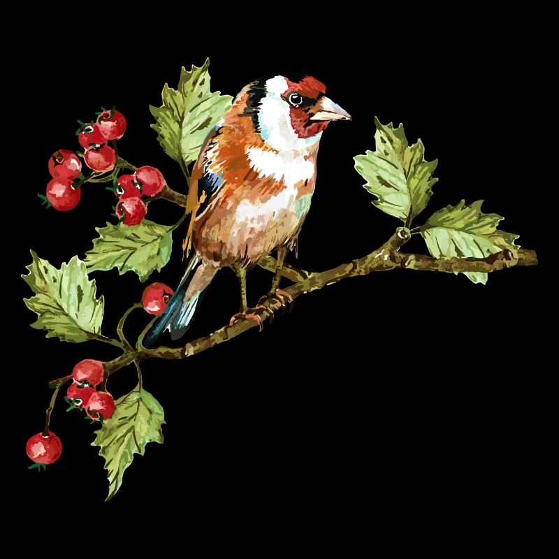 Bunter Vogel